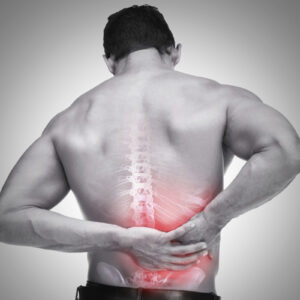 Back Care Support