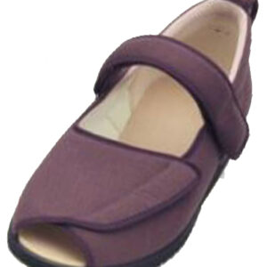 Japan Ayumi Shoes (1015)